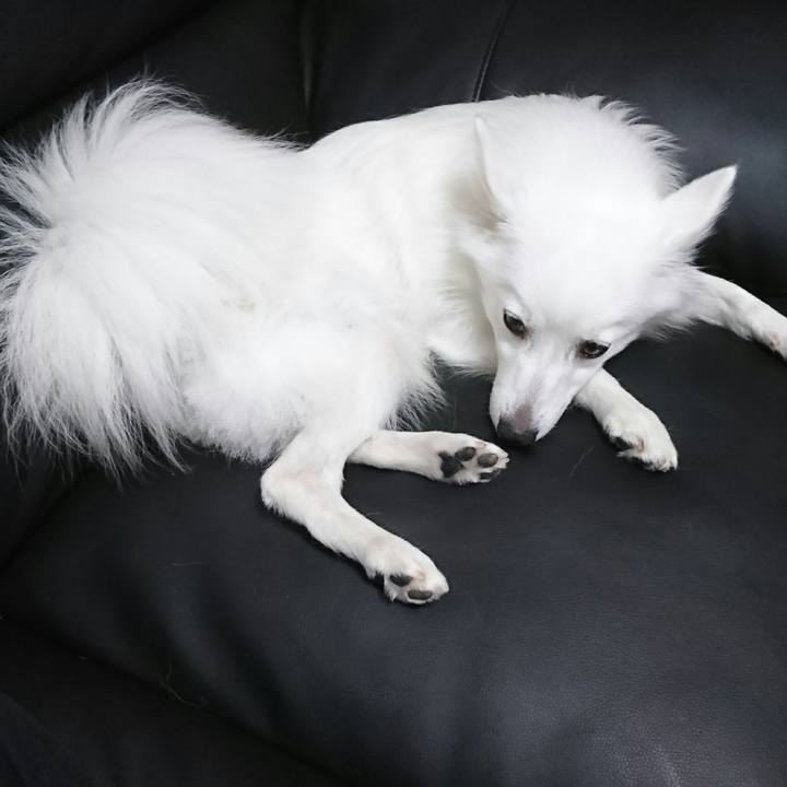 F044444a 1ce9 440f aab5 add697e62399