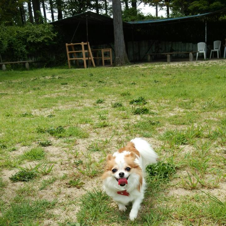 F04485d5 43f1 4d2b 8a66 8b6ffebc6ebb