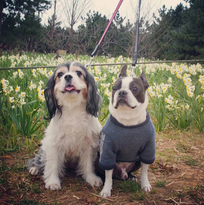 F044e371 9e65 44c0 9915 4866799131c9