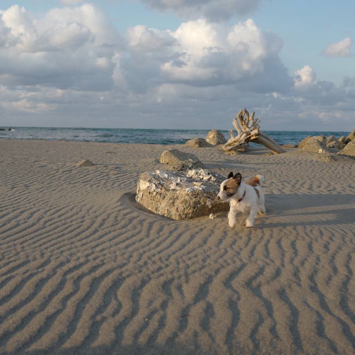 F0451602 8ded 4324 8df7 507ed4392e81