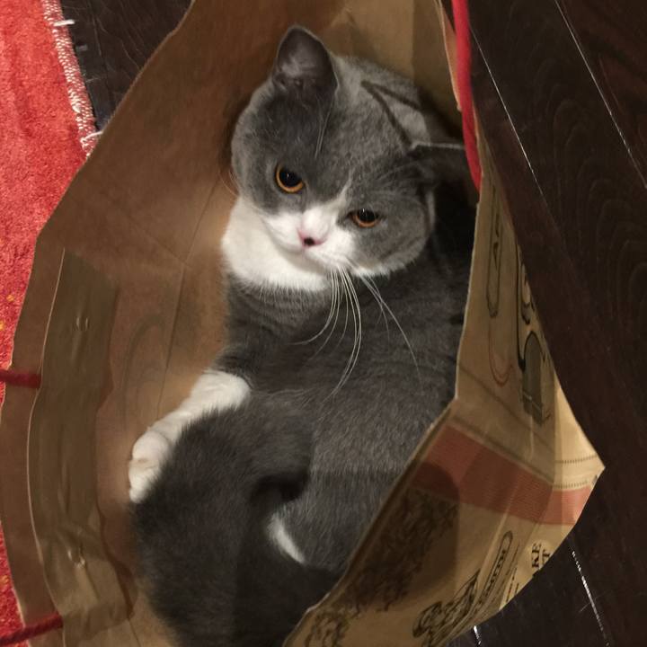 F045ae1f 81e2 4db4 aba4 804c00a0a980