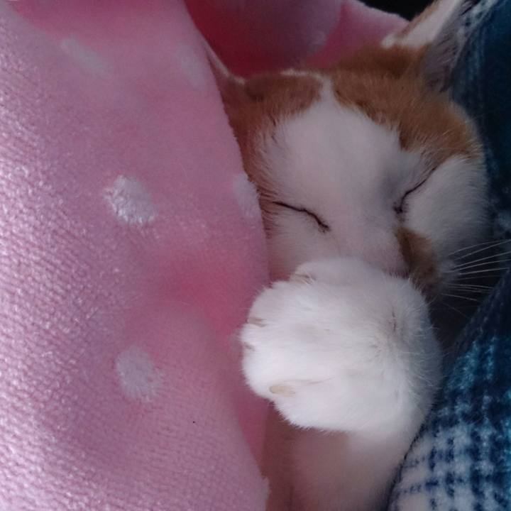 F045e1cb 4f38 432d 9a32 d2d032da00ce