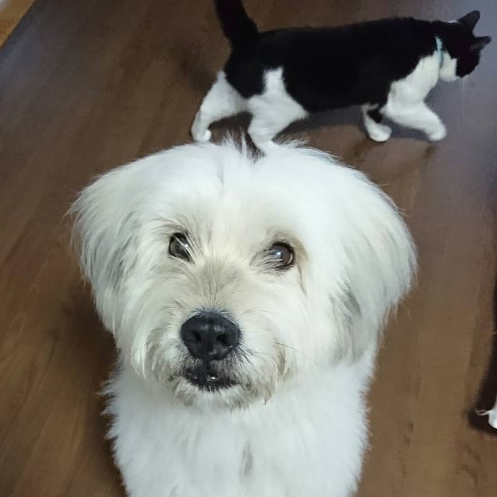 F0460997 99e5 4162 86f1 ca19b164d47e