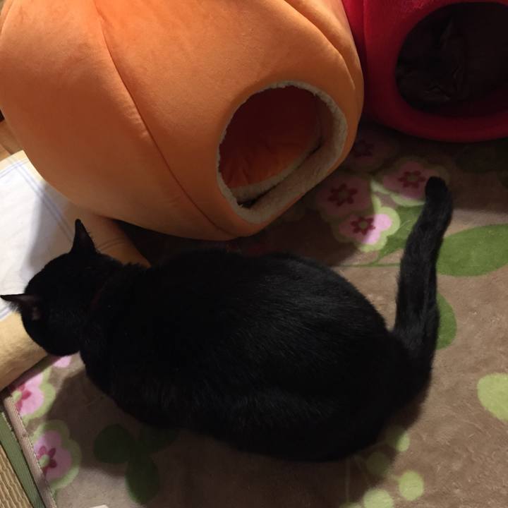 F0469454 8851 4514 adfc 1643429db166