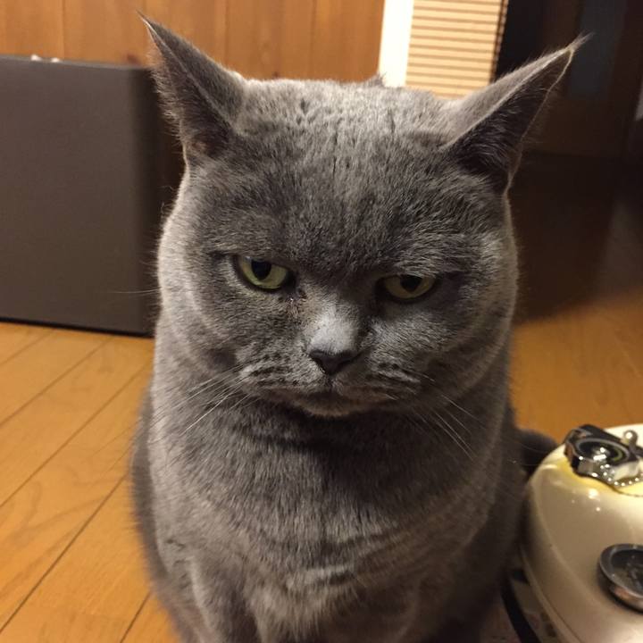 F046b38f 8d28 40a0 904f 1d71a99f63c9