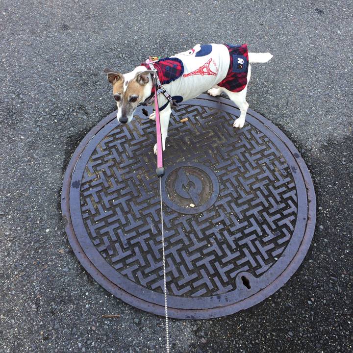 F0474df1 06a2 478e af0d ba8d1baad74a