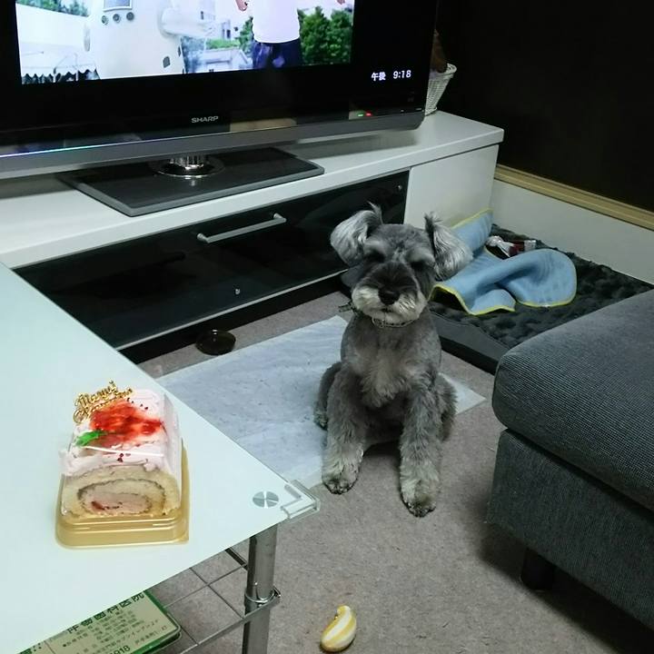 F048744c 7869 4889 b3a6 69dbbdee7d66