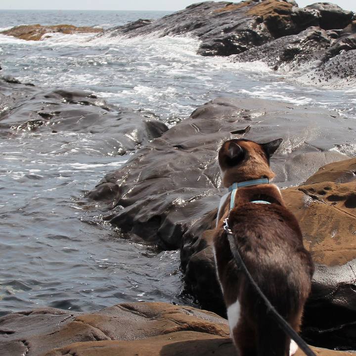 F04897cb 3bdb 49e2 830c 58a858ff3e7d