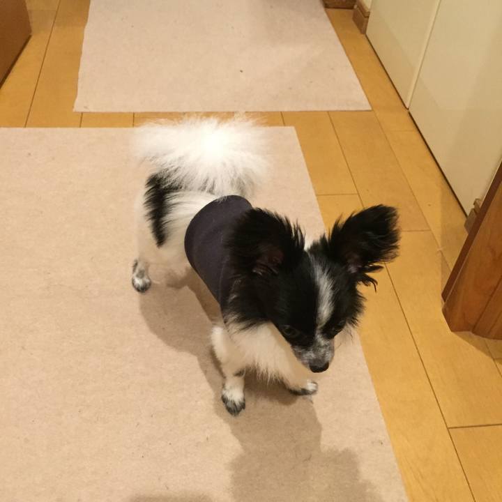 F048e2bf 4c45 47e1 8ff1 d4d99bc510e8