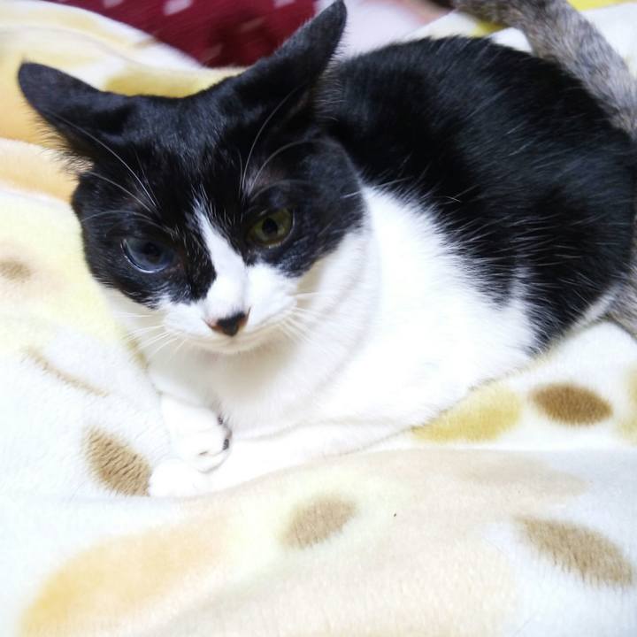 F0495251 5bed 409b b02a 5f3f852e83d6