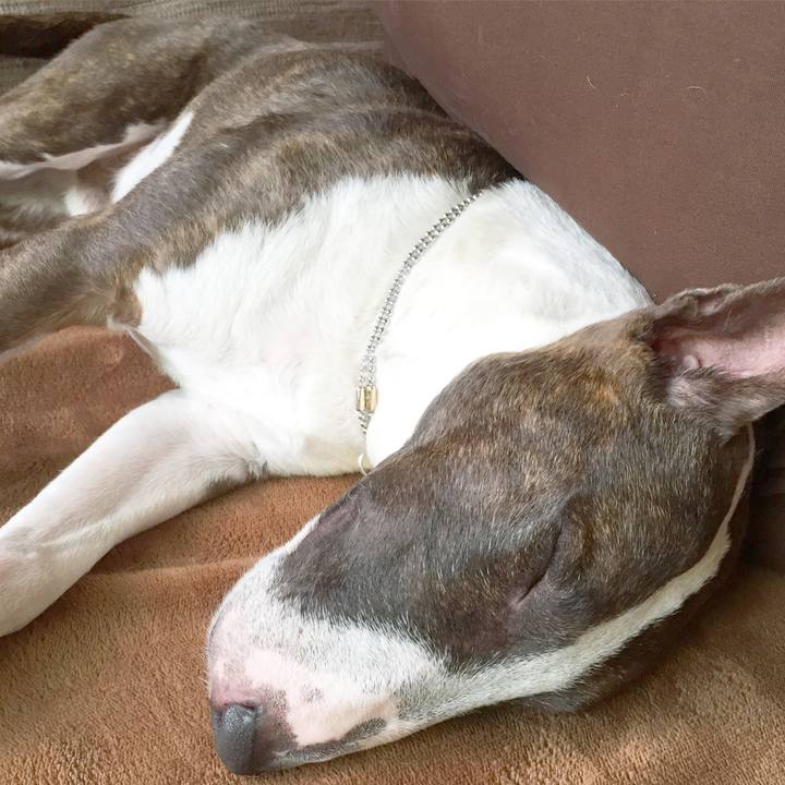 F049fbe1 0405 40ee 9e23 01f170072c25