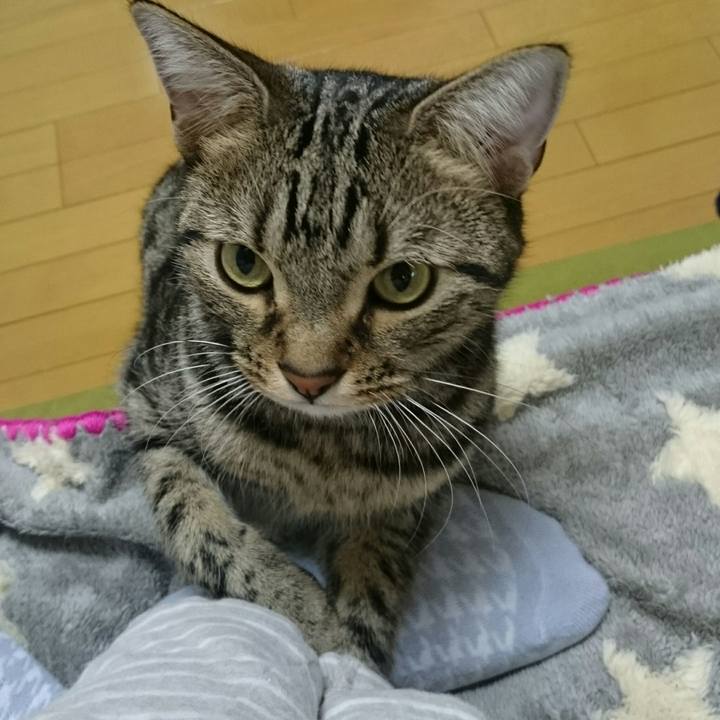 F04a2942 bf86 42cf a014 6fa32521c82f