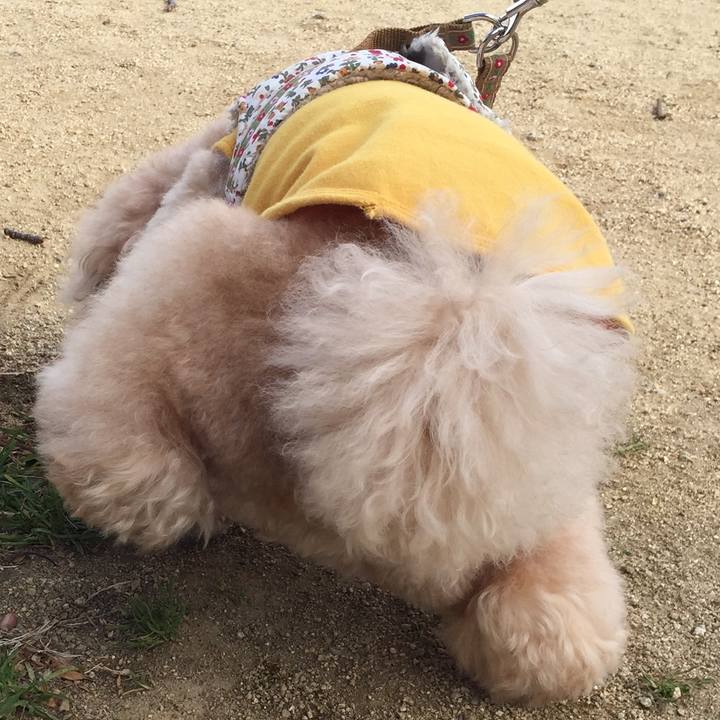 F04a4e93 696e 46ee acf3 b955b959a484