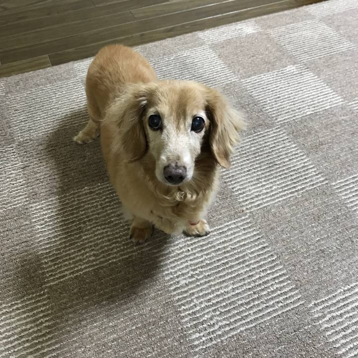 F04aae91 baa0 43fd 9090 6c28fdb8f7c8