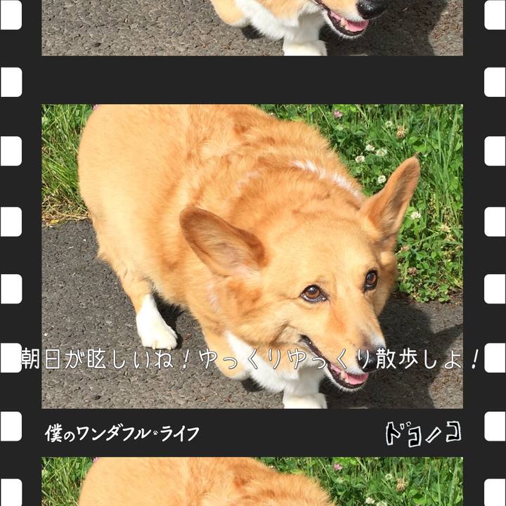 F04af228 f68f 40b2 a2c5 ffda654cbe25