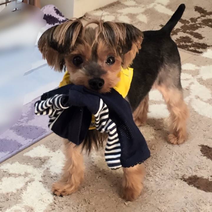 F04b51cc fa47 49ef bd37 52813ccae55a