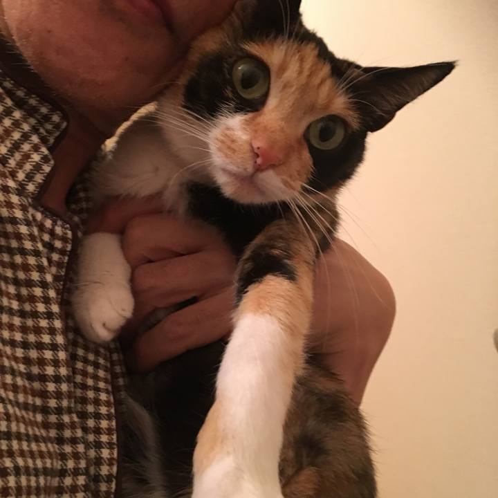 F04bc015 5b9b 405c be13 1586267a9a69