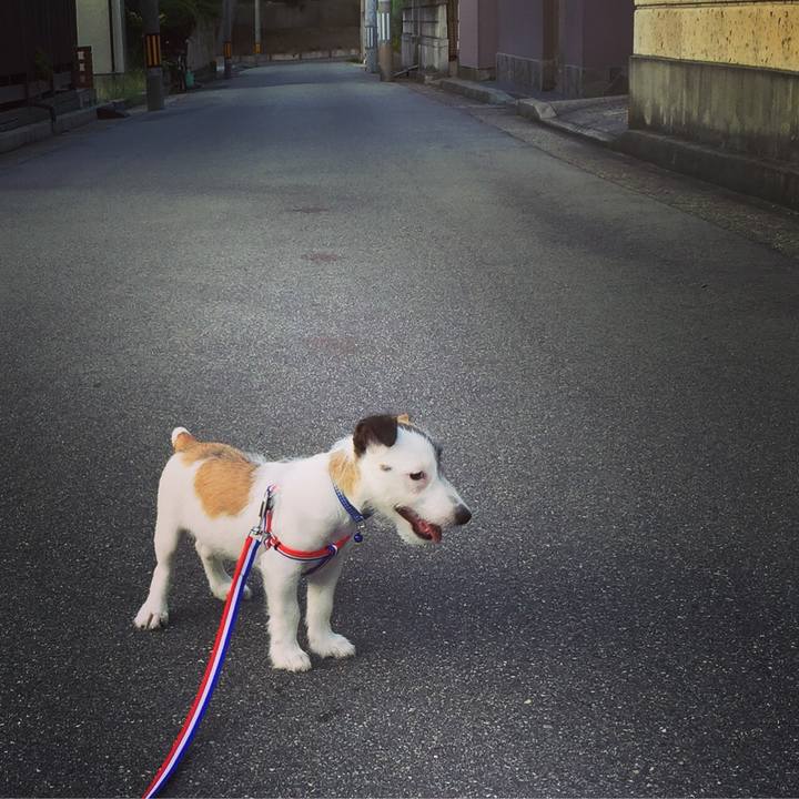 F04bc71f 68da 49c0 8b19 ffa1198a5a51