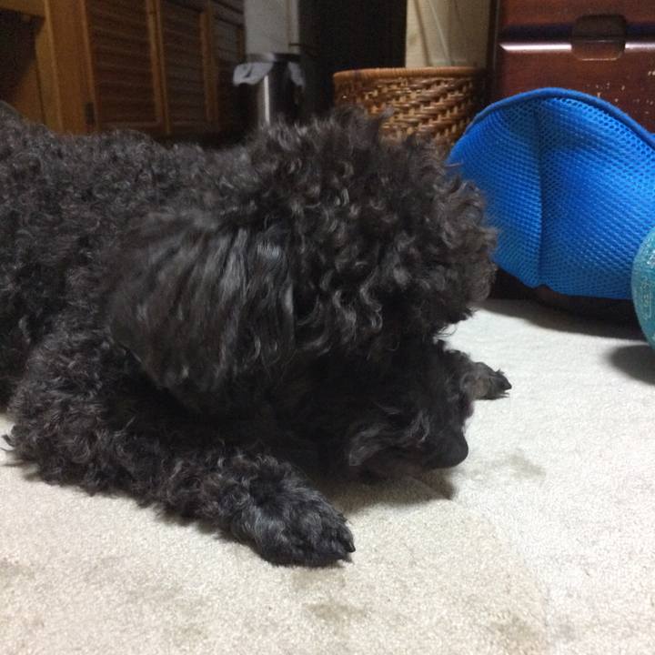 F04c0c28 bea8 4447 810b eedb1b269874