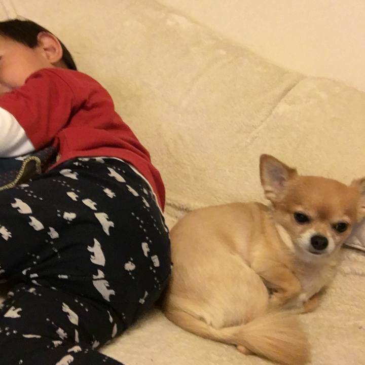 F04d3324 cb29 4bf8 99d5 c9e697cd113f