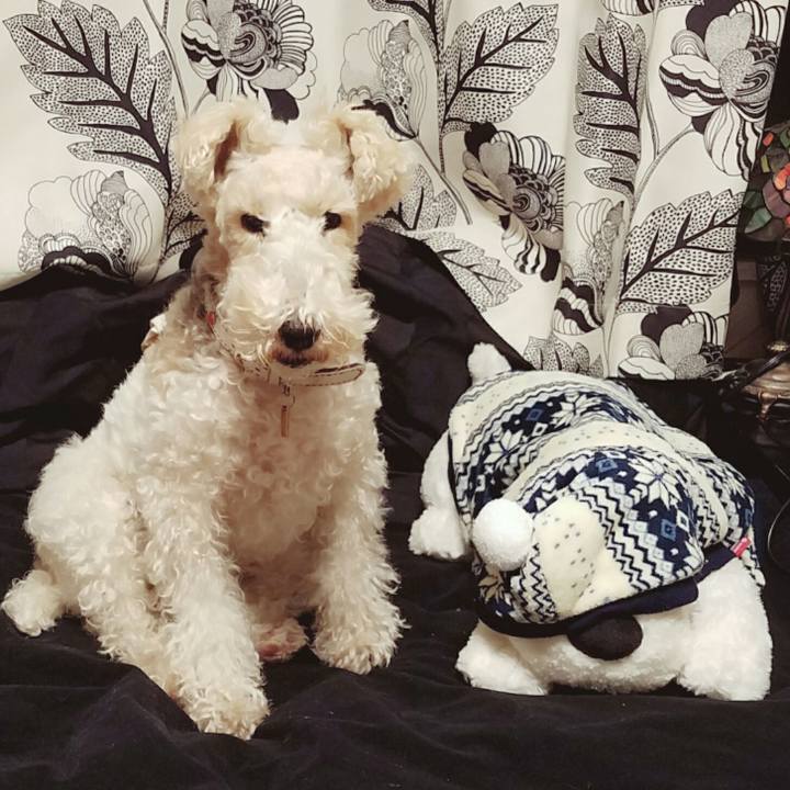 F04d8cbb dfef 474c b132 879d1053716b