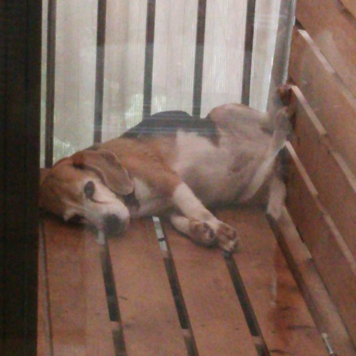 F04dc2ca 10d4 4429 b891 480021a7852e