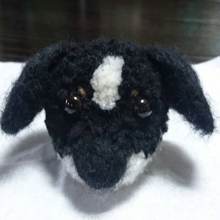 F04e2ce3 5200 492a a86e 07d0cb872174