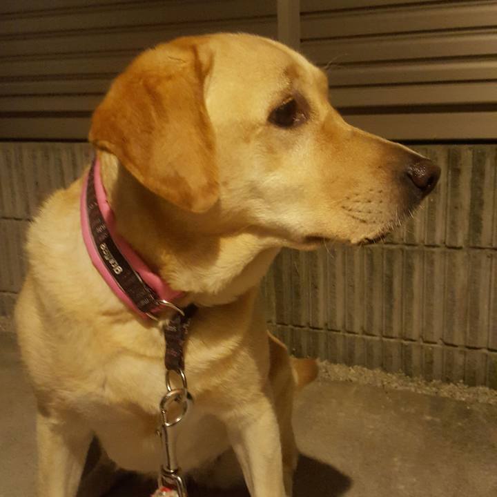 F04ecbdc d0b8 4b14 b0ef a85637110d04