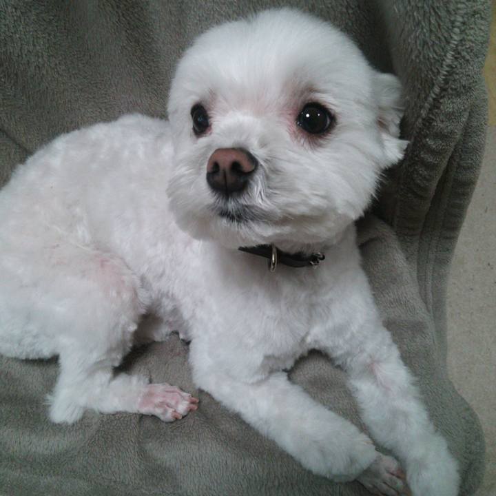 F04ef8ca d77b 4b3d a6b5 775e8c5b5fbb