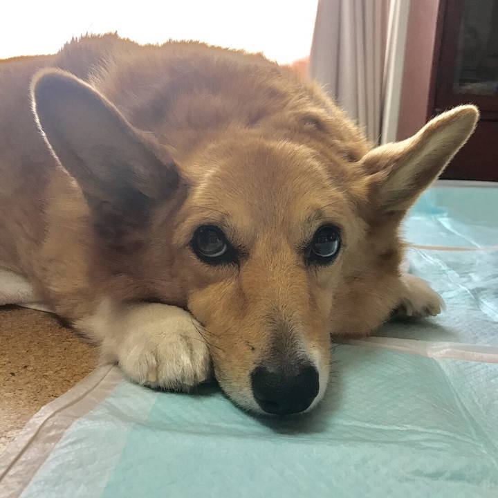 F04f6a5f 8354 4d07 a77b 9d9335942378