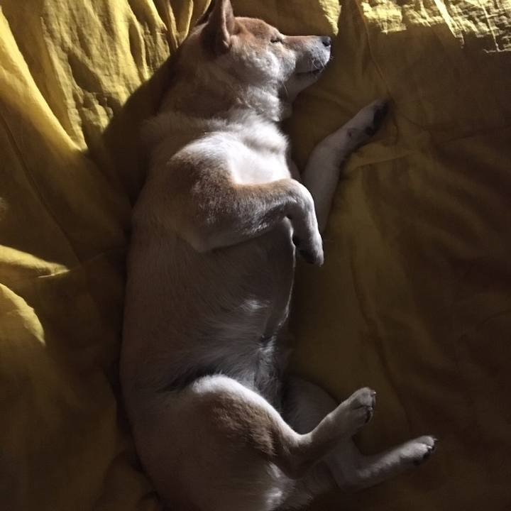 F04fd541 d035 4b3d 8b7e 8c43d328fac2