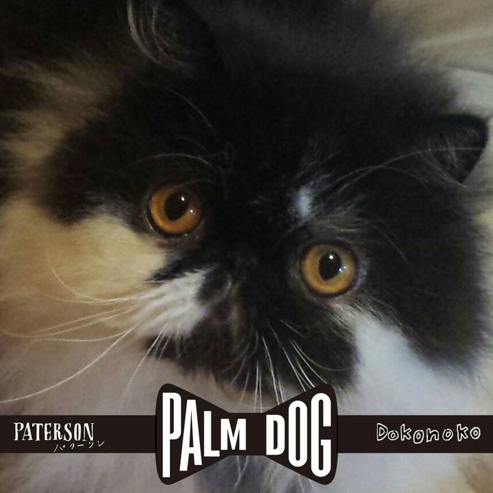 F05067f0 d62b 4223 bcd3 2b3575f451cb