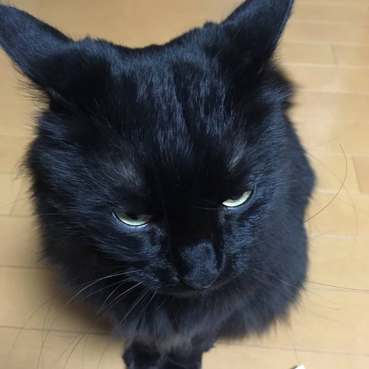 F050e57b bfb7 44ae bcfa 3132263b4ad5