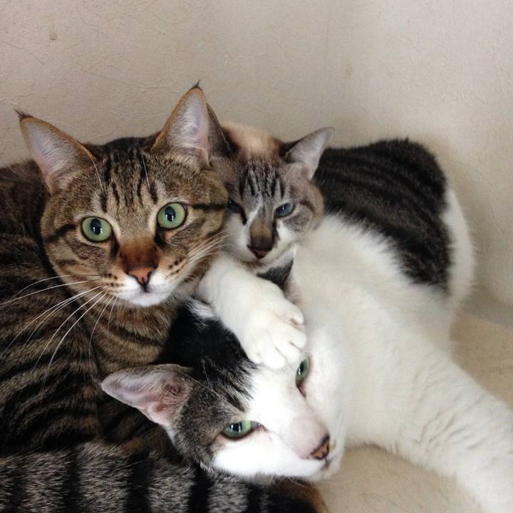 F050e5d0 76e4 4bf5 a157 18db085aa076