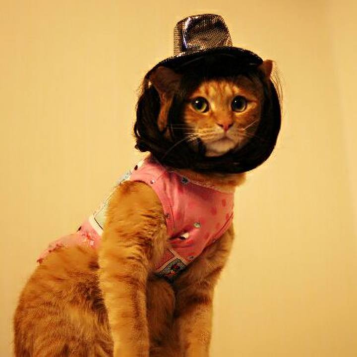 F05117f3 3a9f 405a aab0 3ba050129527