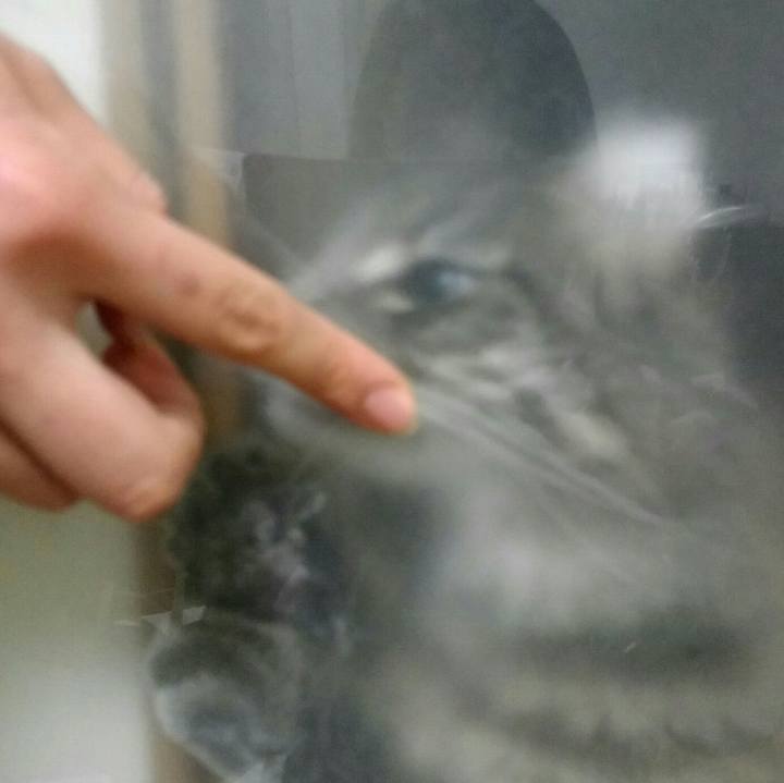 F05134b3 e78a 46c6 bb48 e432d9523ca8
