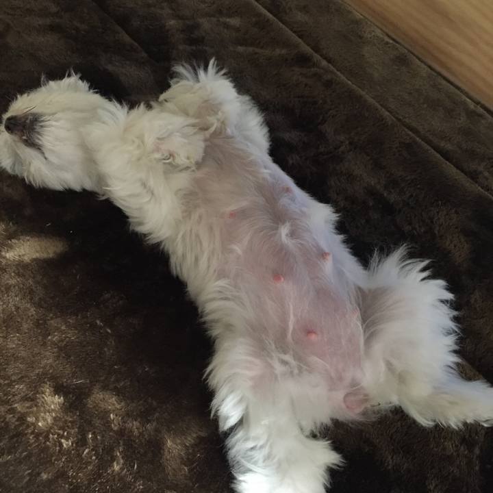 F0516651 8f12 41e1 aac4 1e08d7aabc50