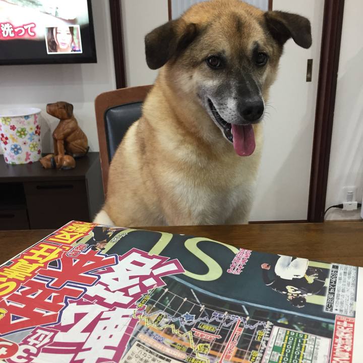 F0516fd4 986e 4413 8bb4 12ca847b4102