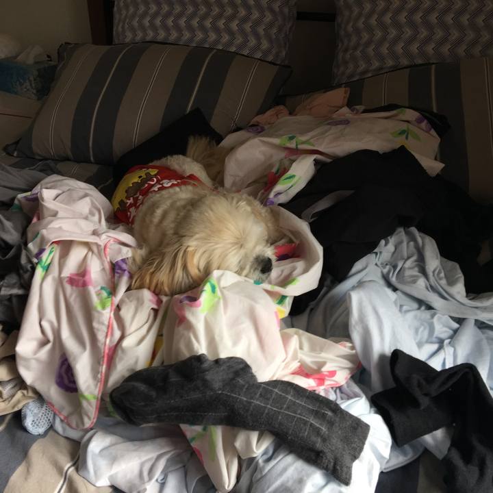 F05190ca f69b 48ba 984a d0dff72e7ab8