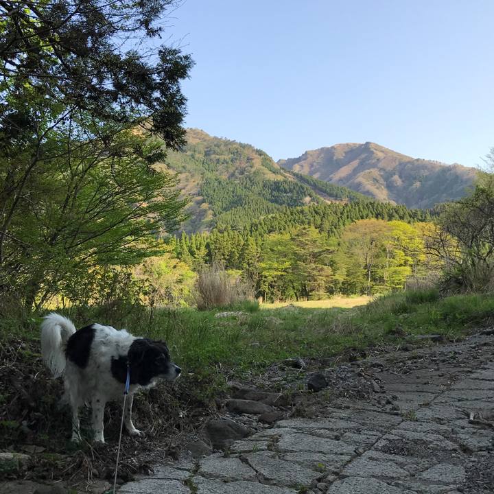 F051ba9b 0943 45e7 a4f4 88d3638e34da