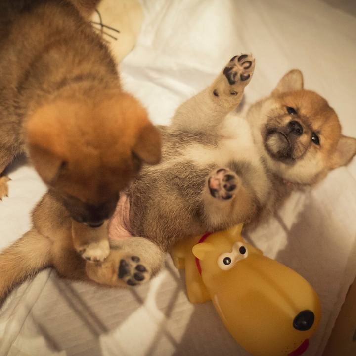 F051ea88 343d 4b77 b510 fb706494e4c0