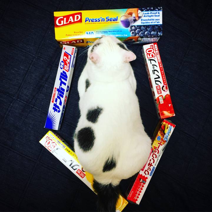 F0524149 c248 43ed b130 f3f7b7c55c15