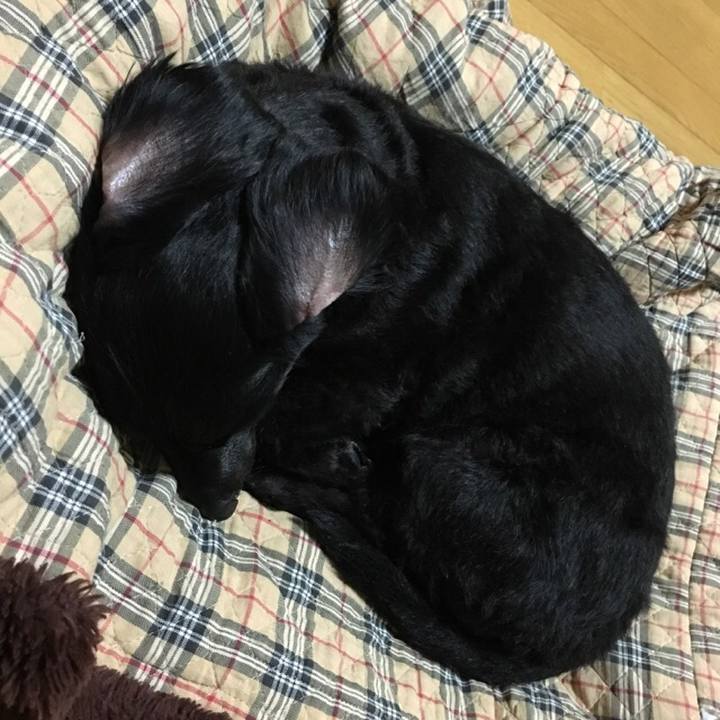 F05243fa b420 42c5 949d 6a812bfda13c