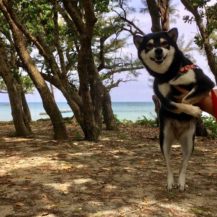 F0527cc1 2581 49e8 ac6a 0b0dd8fad5b7