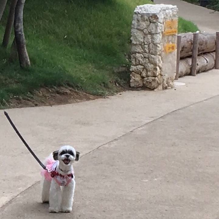 F052c0fb 1806 4307 8e80 c4239879daad