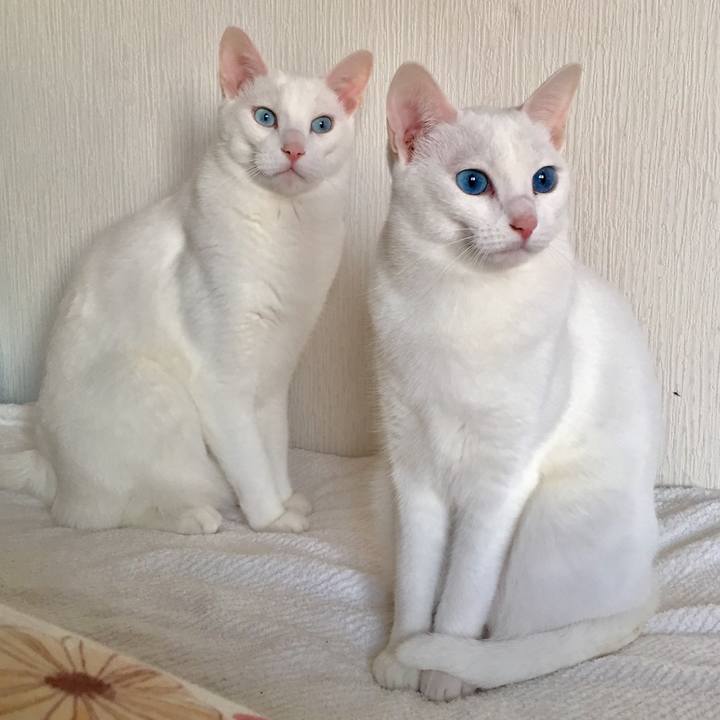 F052c93b e719 4c01 b3c0 0687193e259d