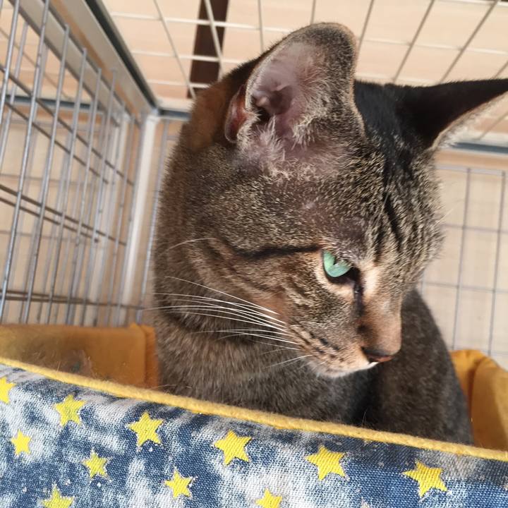 F052cb41 17e1 4f17 9247 00079f563809