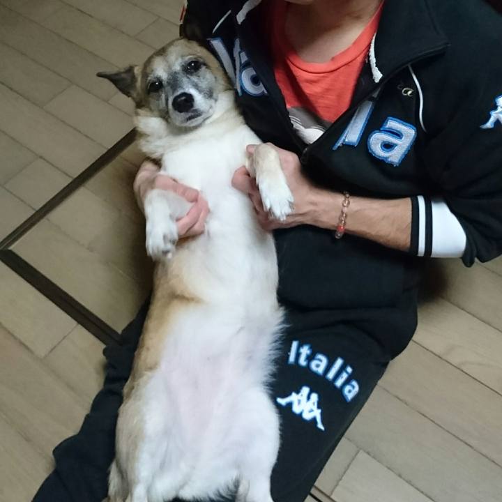 F05388a7 3f76 47a3 8867 a93dd5b7074f