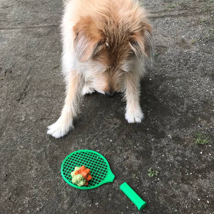 F053ced1 7916 49a5 b775 ac395de36a9e