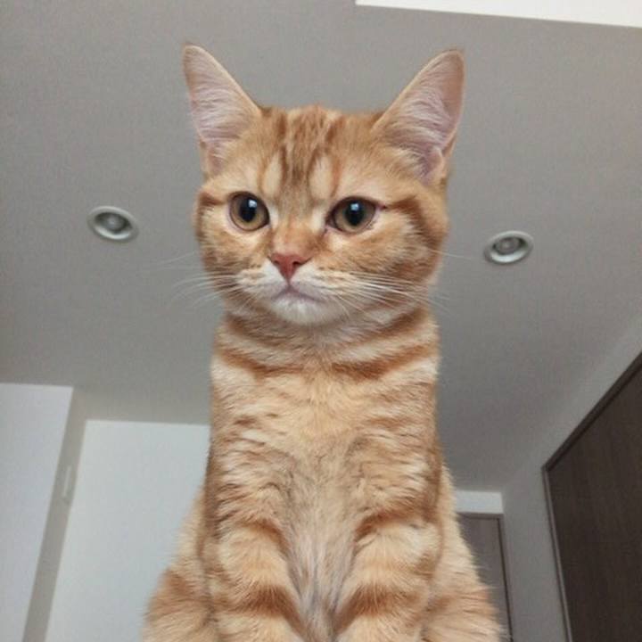 F054011b 46a2 47f7 abe4 0e1a477e288f